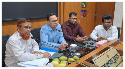 চুয়াডাঙ্গার আম বাজারে আসবে ১৫ মে 